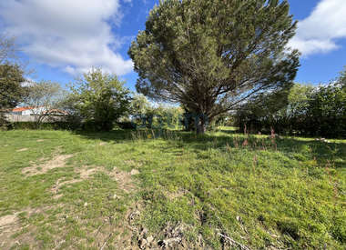 Terrain 